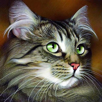 

5D Diamond Painting animal full square cat head Handcraft diamond mosaic Cross Stitch Diamond Embroidery home decor gift