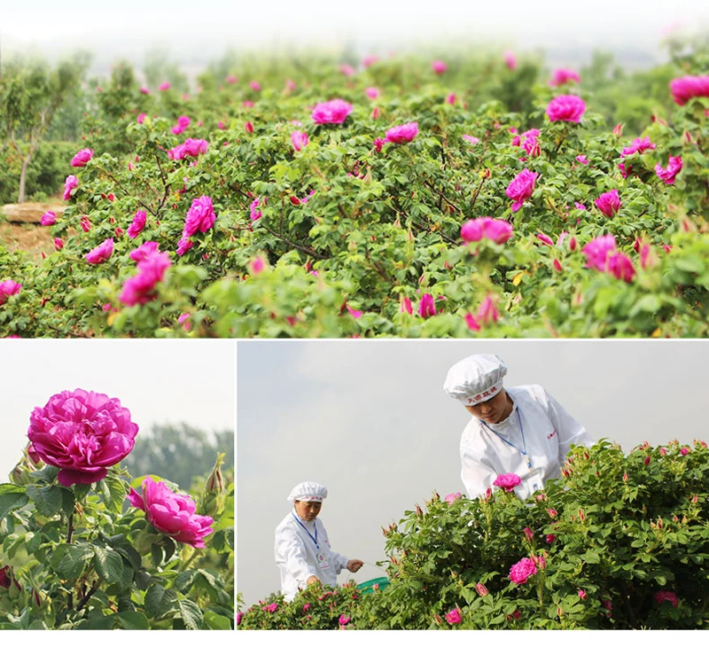 20g Flower Tea Dry Rose Bud Flower Tea Pingyin Rose Double Red Rose Corolla Tea Flower Tea