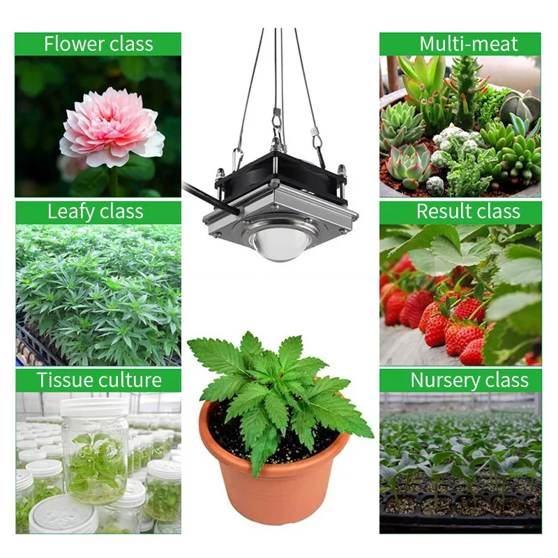 Светодиодный светильник для выращивания, полный спектр, мигро, светильник для выращивания в помещении, светильник для растений, высокое время, светодиодные лампы для выращивания растений, гидропиники, светильник для выращивания s