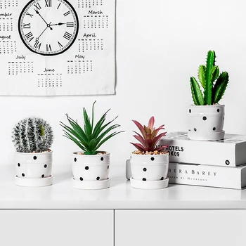 

Simulation Potted Small Succulents Desktop Decoration Living Room Decoration