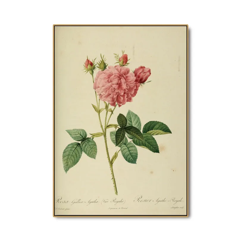 H16a1f98a5859402ab821cd254d223e82M