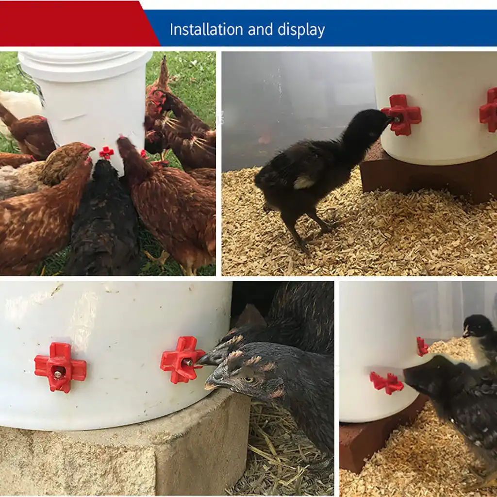 Chicken Drinking Cup Automatic Drinker Chicken Feeder Plastic
