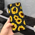 Case-c20