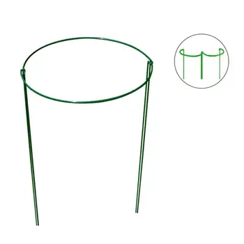 

Small Garden Plant Support Rings for Clematis Morning Glory Lily Tomato Cucumber Sweet-Pea 2PCs domates suporte para plantas