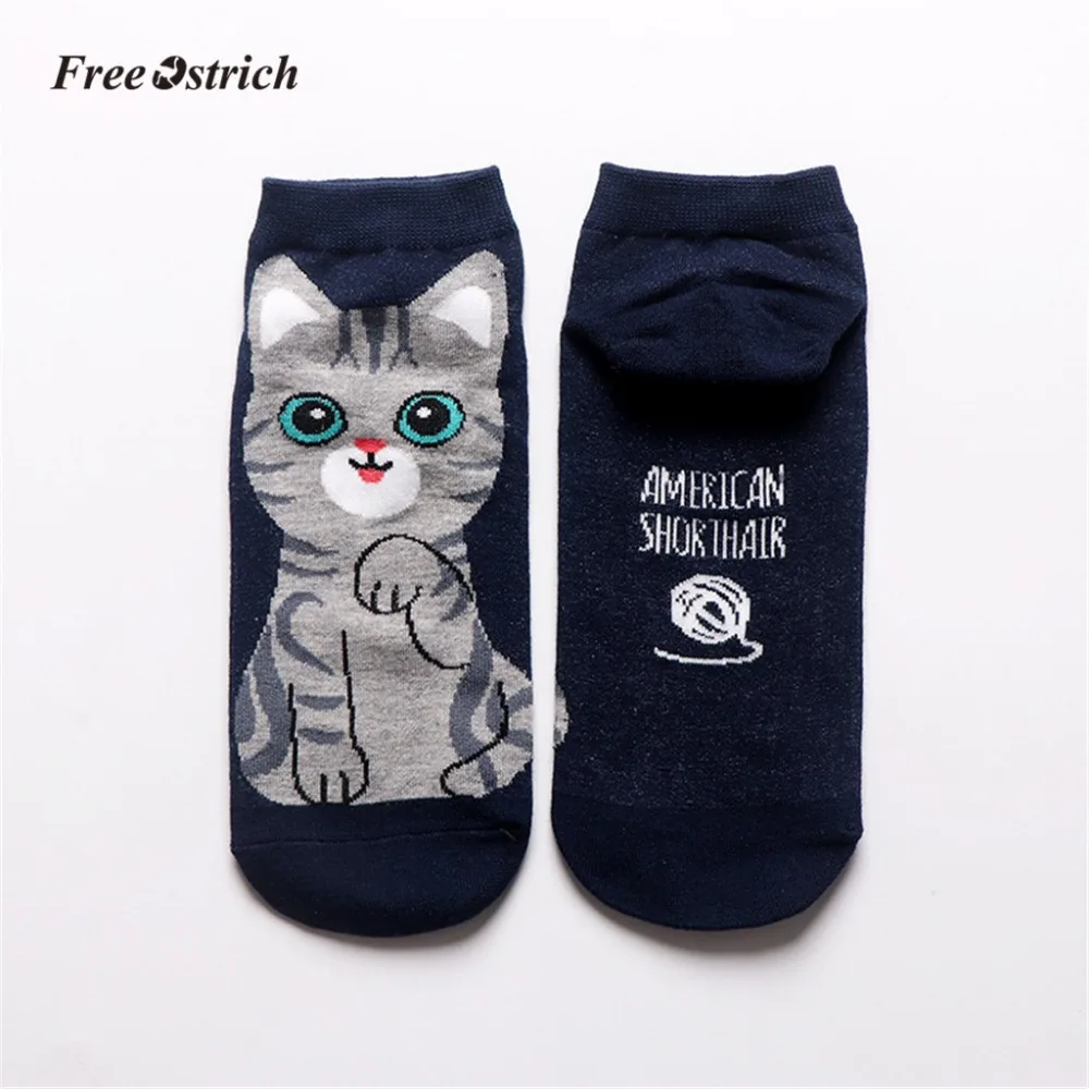 9 - YQT90309192_2019030909451209112