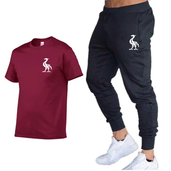 

Men's Casual Wear T-shirt Set Men's Sportswear 2020 New Sports T-shirt Men's Short Sleeve T-Shirt 2 Pieces / Set