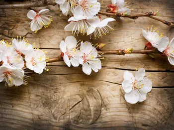 

SHUOZHIKE Vinyl Custom Photography Prop Flower Wood Planks Board theme Photo Studio Background W191009-022