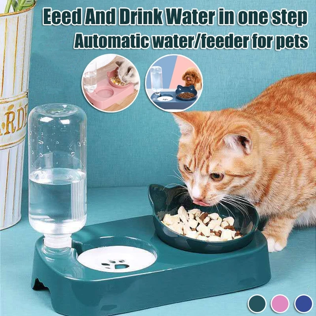 Comedero Automático Alimentador Automático Para Gatos Pete