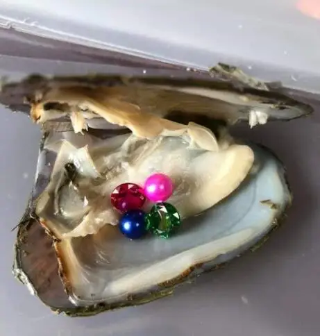 

Newest Treasure Oyster Zircon gems and pearls in Freshwater Oyster 6-8mmAAA round random in oyster shuck best surprise gift N162