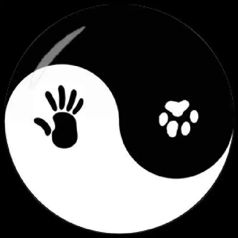 Yin Yang Tai Chi стеклянный кабошон 12 мм/18 мм/20 мм/25 мм DIY Круглый самодельный самодельное ювелирное изделие из бисера ручной работы Серьга браслет ожерелье 10 шт./партия - Цвет: YY11