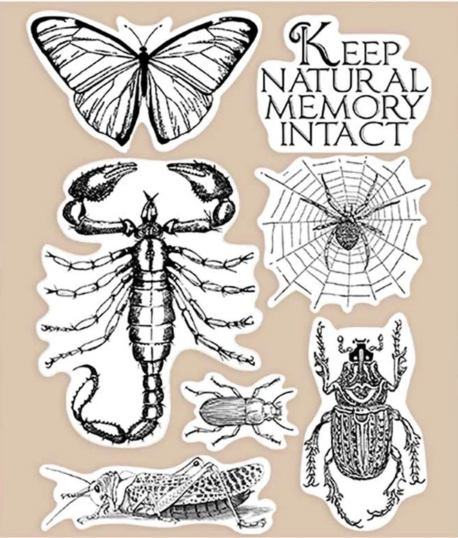 Description Picture 3 of item2021 New Arrivals Clear Stamps For Scrapbooking Card Making Chess Lion Butterfly Snake Natural Stamp Set Account Craft No Dies