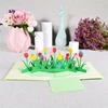 Pop-Up Flower Card Flora 3D Greeting Card for Birthday Mothers Father's Day Graduation Wedding Anniversary Get Well Sympathy ► Photo 3/6