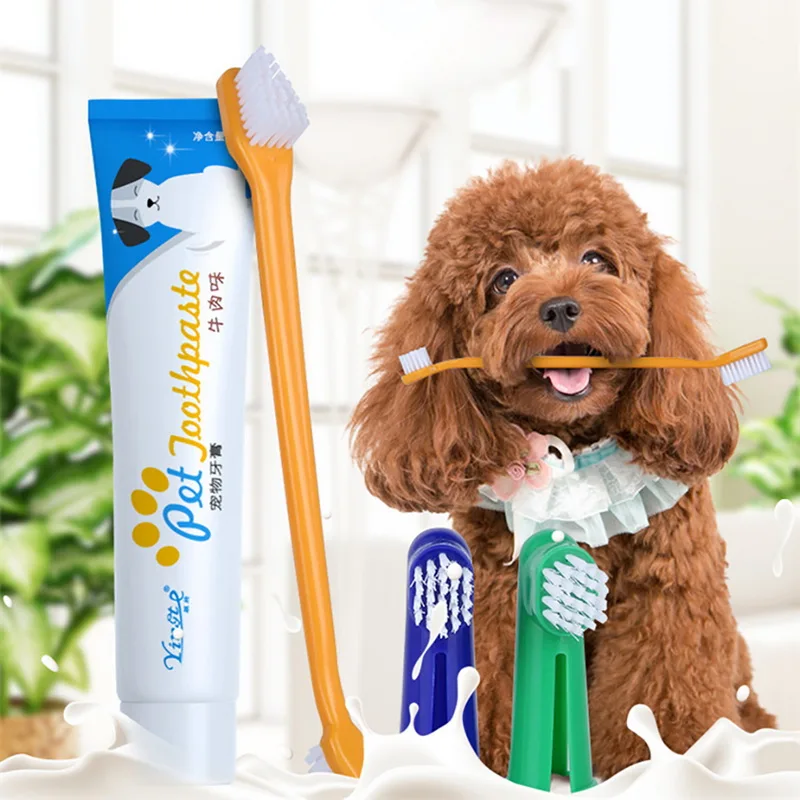 

Pet Dog Toothbrush Toothpaste Set Pet Brush For Small Medium Large Dogs Teeth Care Pet Accessories Random Color