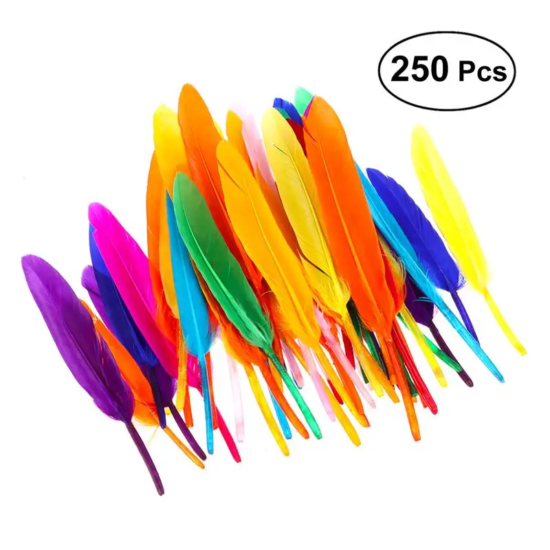 

250pcs DIY Nature Feather Home Decoration DIY Craft