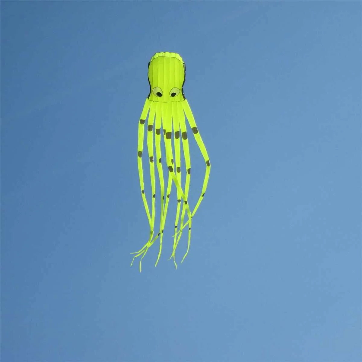 

Hot Large Octopus Kite with Handle Line Children Kites Eagle Surfing Cute Animal Vlieger Octopus Kite Adults Fun Flying Kites