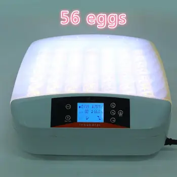 

Cheap 56 Eggs Mini Thermostat Home Incubator Automatic Egg Incubator Hatcher Mute Intelligent Control LCD Alarm with Egg Tester