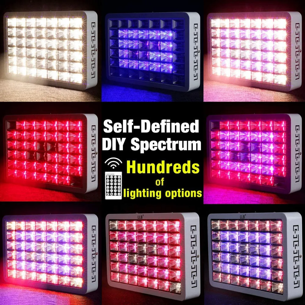 81gsBT2EqUL._AC_SL1200_