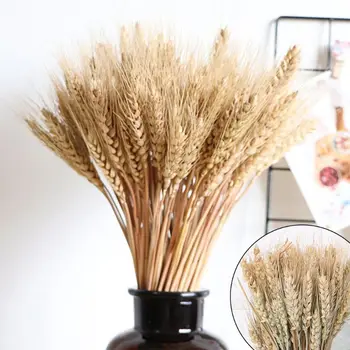 

100PCS Dried Wheat Bouquet Flowers Natural Stems Bunch Sheaves For Home Wedding Showcase Kitchen Decorations Photography Props