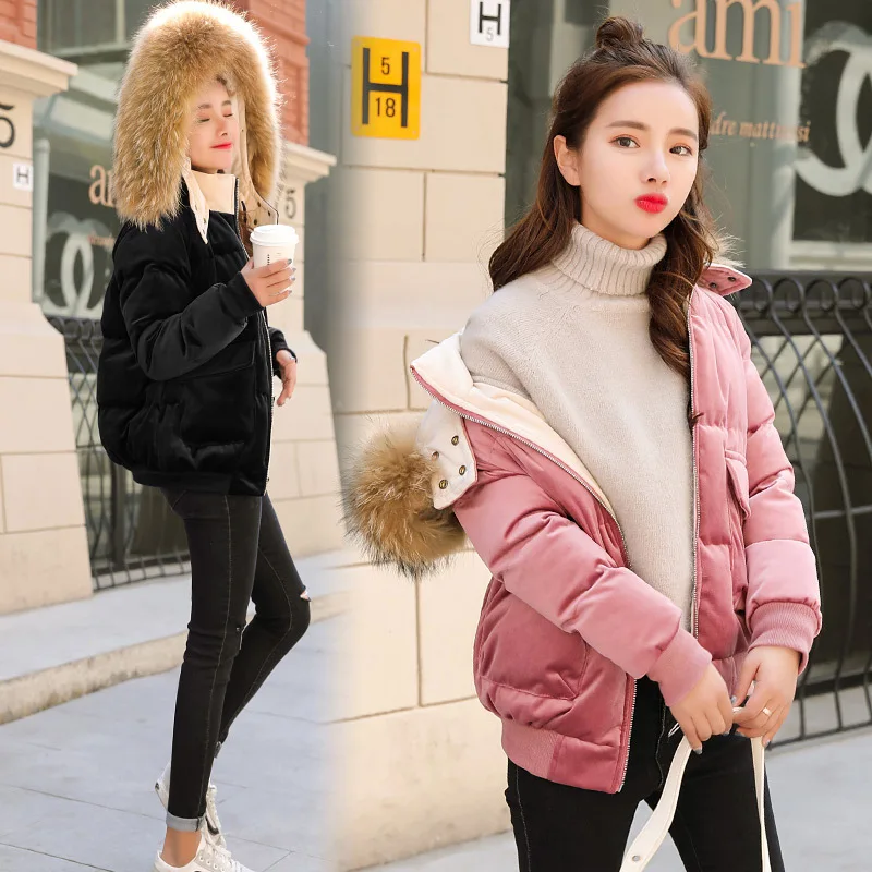 

2018 Winter New Style Small Cotton-Padded Jacket-Style down Coat Short Gold Velvet Cotton-padded Clothes Women's Korean-style Co