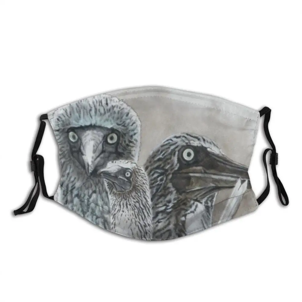 

Dapper Diy Adult Kids Face Mask Seabird Wildlife Bird Funny Sula Eastern Pacific Sub Tropical Bright Blue Feet Marine Bird