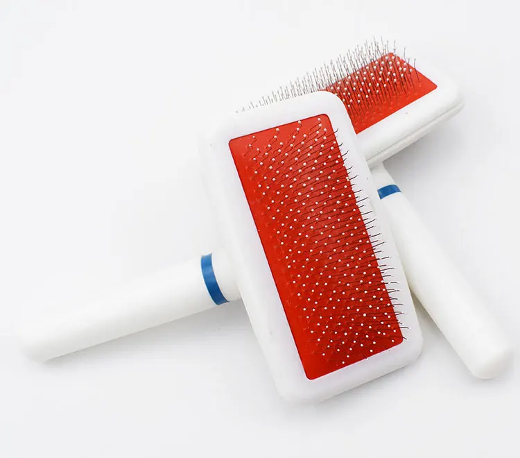 11019264772_915075906