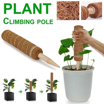 

4Pc30CM Plant Climbing Coconut Shell Column Safe Gardening Climbing Plant Vines Climbing Frame