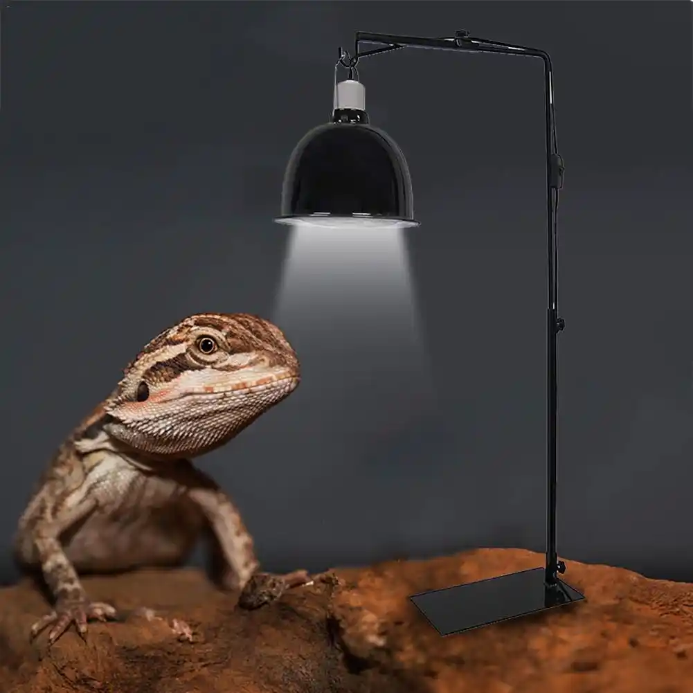 reptile heat lamp stand