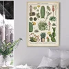 Modern Cactus Succulents Canvas Painting Green Plant Flower Vintage Posters and Prints Wall Art for Living Room Decor Cuadros 1