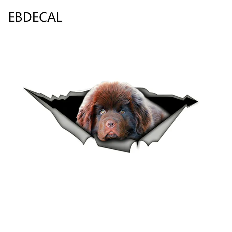 Ebdeckle Pet наклейка с собакой водонепроницаемый для Авто/бампер/окно/настенные наклейки DIY Декор CT11003