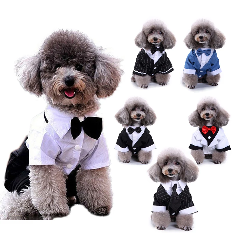Abrigo De Estilo Occidental Para Hombre Ropa Para Perro Mascota Traje De Boda Y Pajarita Abrigo De Cuatro Patas Para Perro Cachorro Chaquetas Traje S Xxl Wedding Suits For Dogs Traje Para Perrosdog Suits