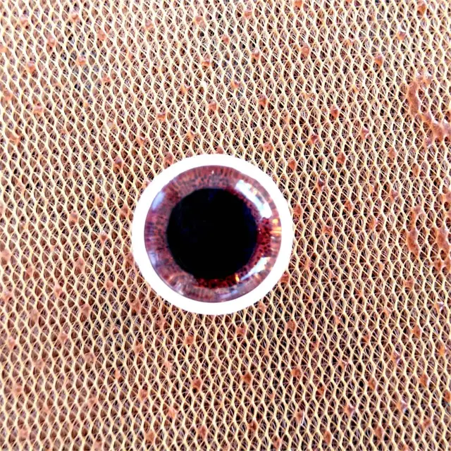High Quality 48pcs 3D Glitter Plush Plastic Safety Eyes For Toys Amigurumi Doll Making Eyes For Dolls Mix Animal Box 12mm 5