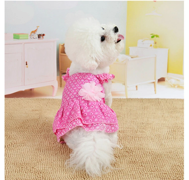 11726134580_1368698927