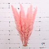 7pcs-pink-53cm