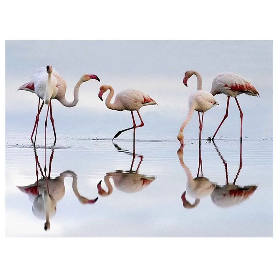 

DIY Diamond Painting Flamingo Bird Reflection In Water Picture Of Rhinestone Needlework Home Decor Embroidery Full Drill AA477