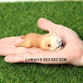 Bulldog K