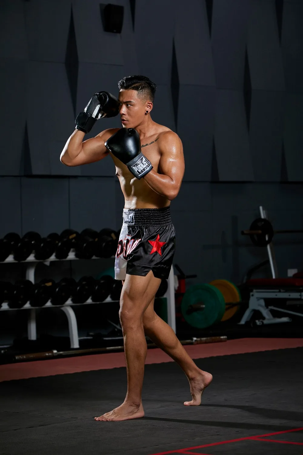 PUGILIST пять звезд серии Муай Тай брюки mma шорты для единоборств фитнеса боевых искусств тренировки бокса