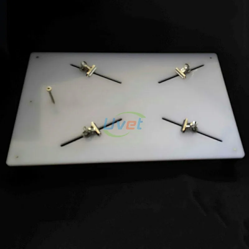 

Uvet animal Anatomy surgery station Plexiglass Mouse frog Small animals experiment fixed Anatomy Device Mouse Experiment Tool