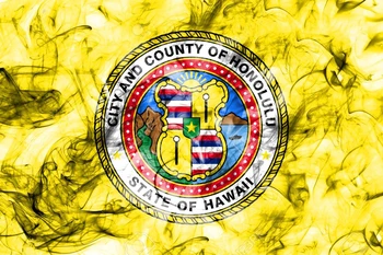 

JMINE Div 5D Hawaii Confederate Flag Full Diamond Painting cross stitch kits art High Quality Hawaii 3D paint by diamonds
