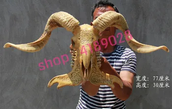 

100% genuine, prairie sheep, goat skull 6#, craftwork ornament