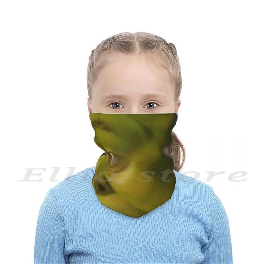 Shrek Meme Funny Print Reusable Pm2.5 Filter Face Mask Shrek Meme Png Shrek  Face Shrek Meme Face Shrek Png Shrek Wazowski Shrek - AliExpress