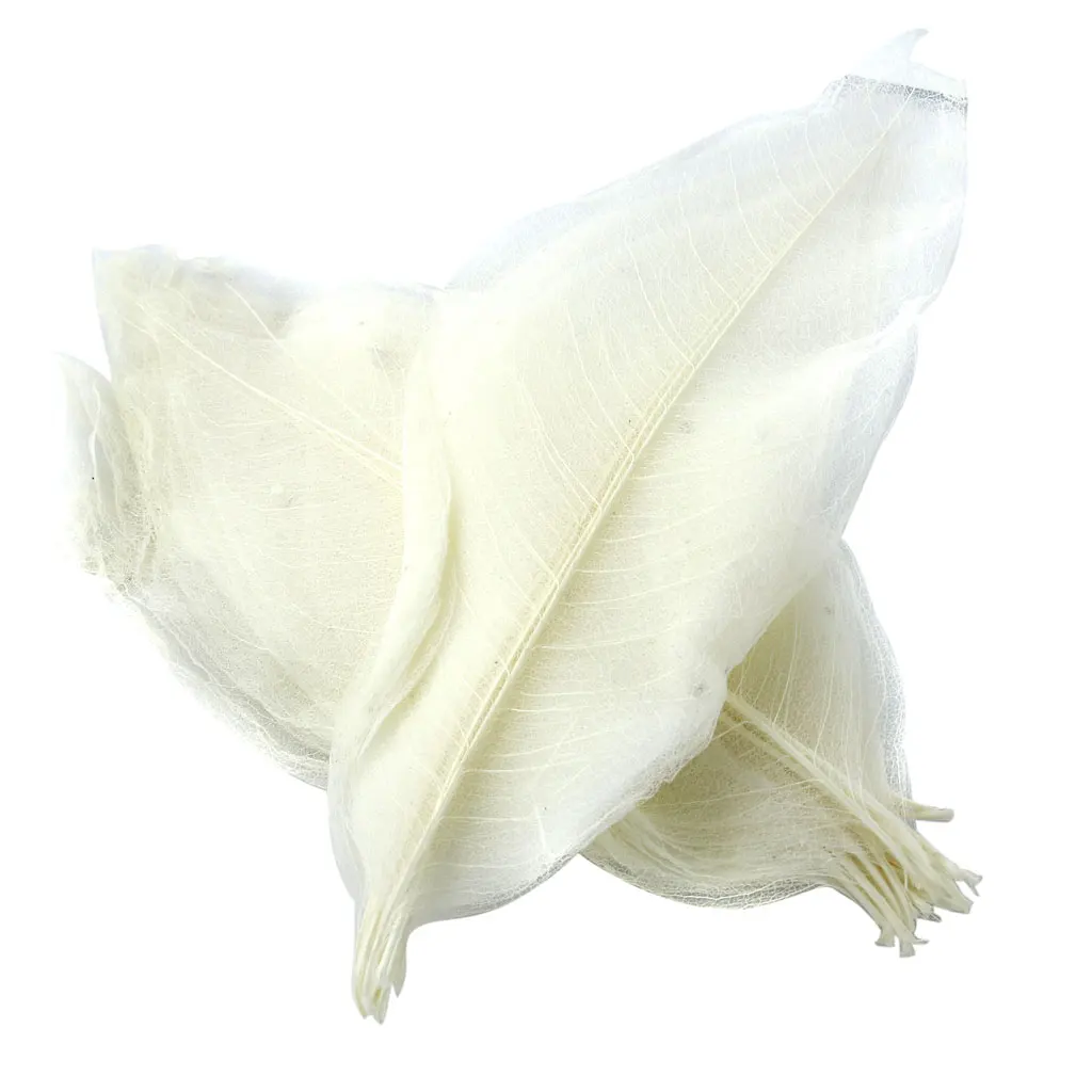 Pack of 50 Natural Skeleton Leaves Scrapbooking Craft DIY Wedding Invitation White
