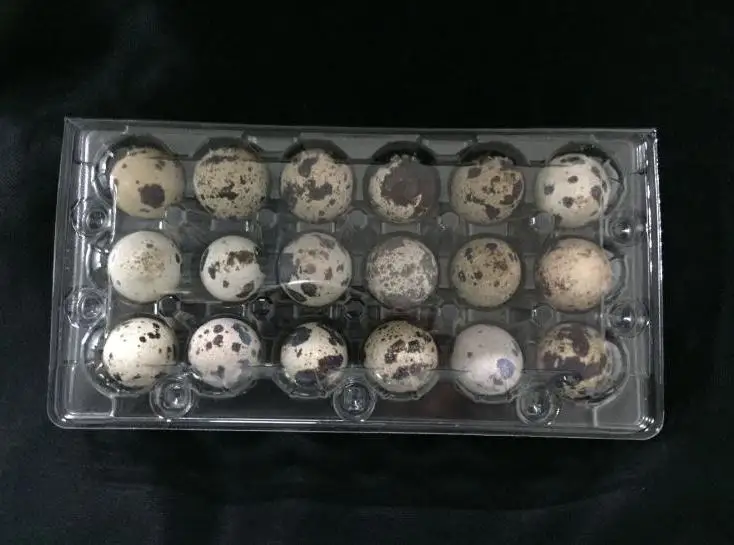 

1000pcs 18 Holes 198*41*133cm Quail Eggs Container Plastic Clear Egg Packing Storage Boxes Wholesale Fast Shipping Wholesale