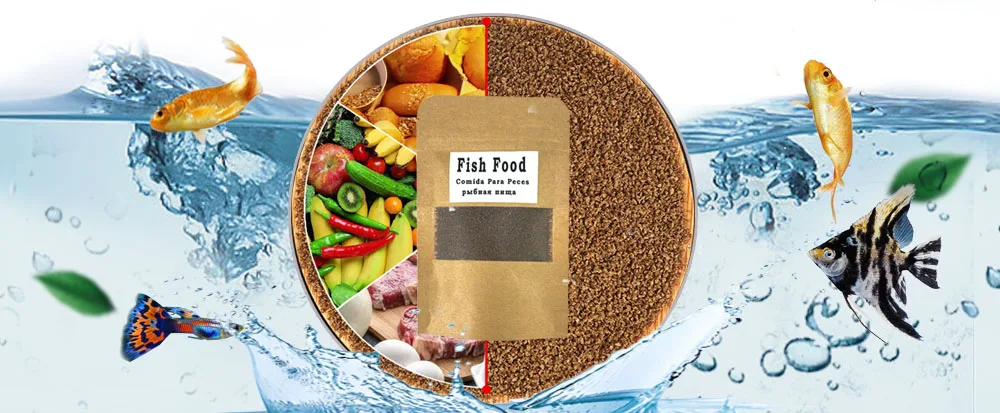 H420a19587e2d4ee895af19a08ba87e89K.jpg?width=1000&height=413&hash=1413