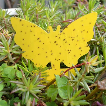 

New Yellow Sticky Trap Flying Insect Sticky Gnat Catcher Dual-sided For Flies Aphids Fruit Fly Indoor And Outdoor 20Pcs/Pack