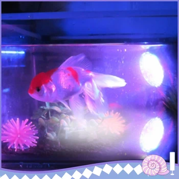 

36LED Color Changing in sequence Submersible Aquarium Spot Light Fish Tank Garden Fountain Pool Landscape Lamp US Plug 2 Size