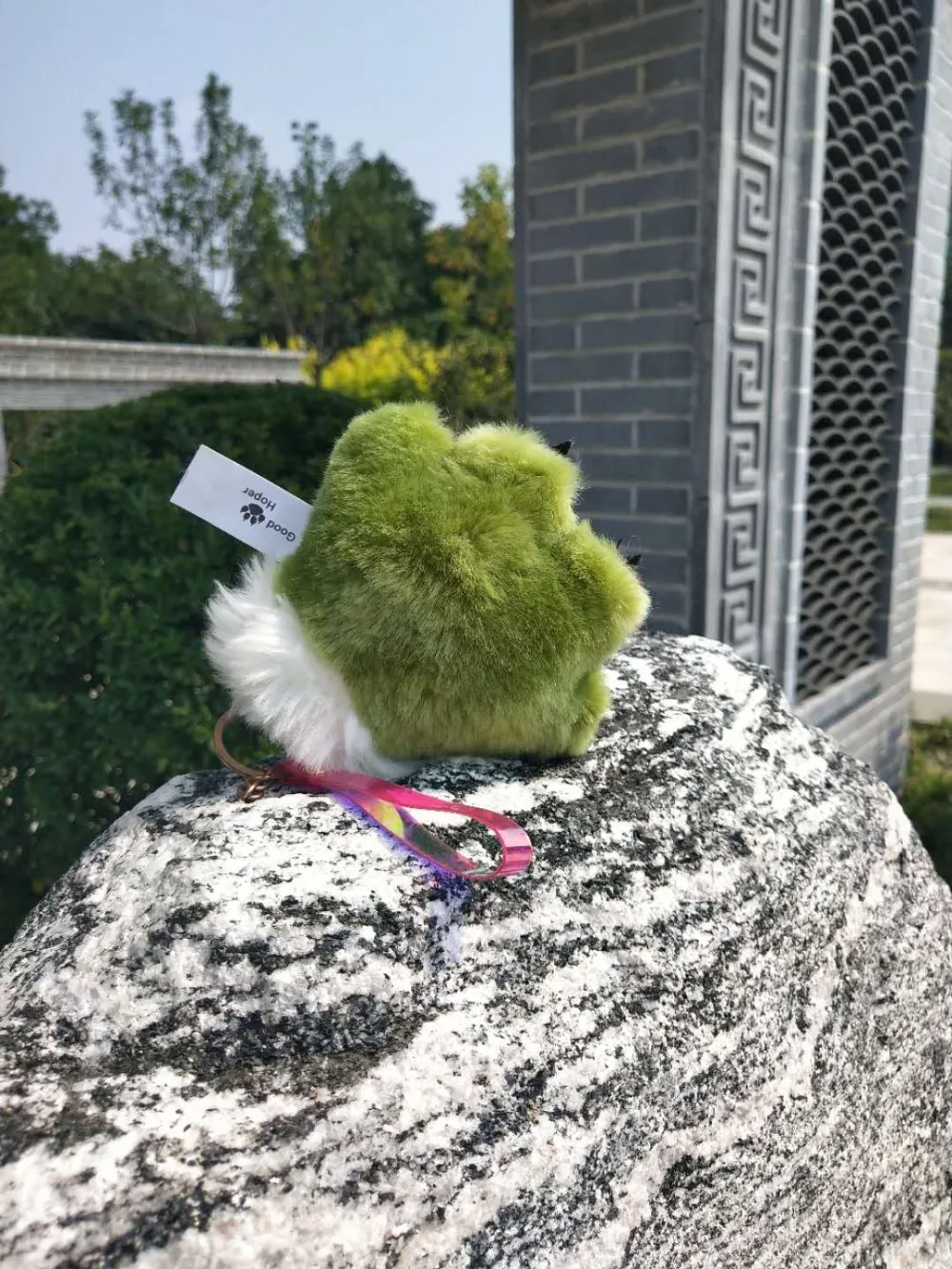 IMG_8551(20200828-151742)