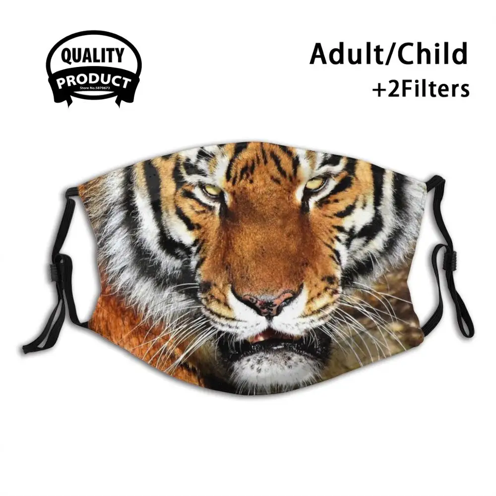 Bengal Tiger Reusable Mouth Mask Filter For Men Women Kids Head King Tigerking Animals Wild Cat | Аксессуары для одежды