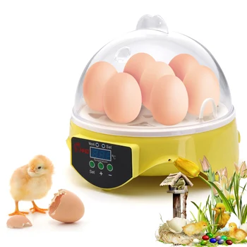 

Mini egg incubator controller Automatic 7 Eggs Turning Poultry Incubator Digital Temperature Control Chicken Duck Egg Hatcher