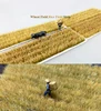 Rice and wheat field scene model  1 / 72 1 / 87 ho train sand table DIY miniature landscape material high quality 3