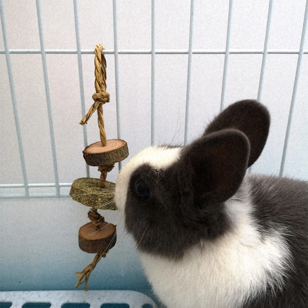 Toy Hamster Wood-Grass Teeth-Grinding Rabbit Chew-Toy Pet-Supplies Pet-Molar Parrot Apple